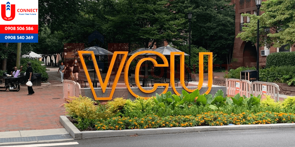 Đại học Virginia Commonwealth (VCU)&nbsp;, bang Virginia - Mỹ